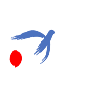 本場イギリスで世界最高レベルに挑戦！サッカー兼トレーナー留学で世界を知る