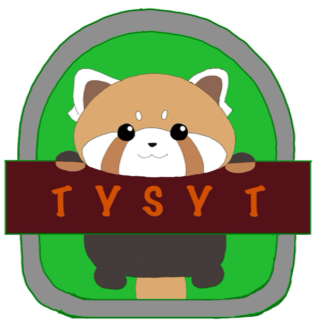 TYSYT